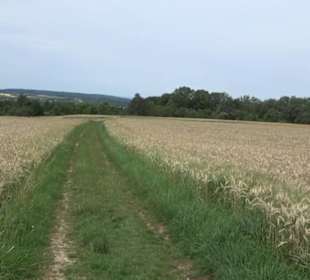 Premiumspazierweg Früchtetrauf-Leisawegle