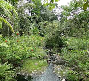 Poring Hot Springs - Schmetterlingsgarten