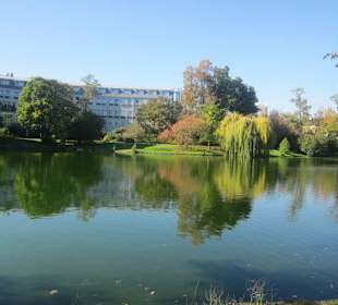 Altstadt Landau Schwanenweiher
