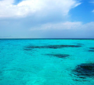 Speedboottour mit Oototo Holiday Service