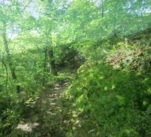 Wandern Schenkenzell