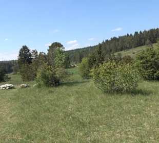 Premiumwanderweg Hochgehschätzt