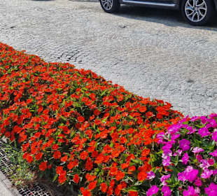 Alles schön gehalten