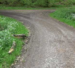 Wandertour Feuchtgebiet Schönbuch