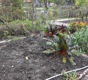 Umweltbildungszentrum Listhof