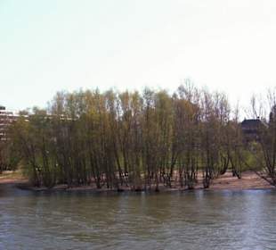 Rhein-Schifffahrt mit der Köln - Düsseldorfer