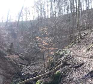 Wolfsschlucht