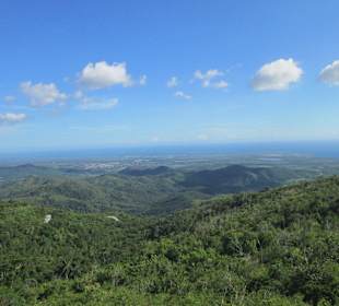 Der Weg zum Dschungel