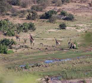 Safari Hoedspruit
