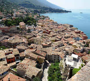 Blick von der Burg auf die Altstadt von Malcesine