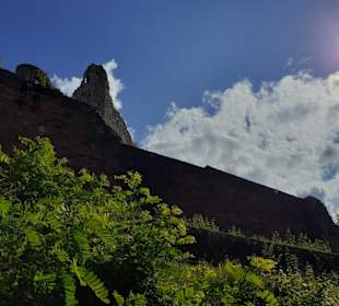 Burg Fleckenstein in Niedersteinbach, Frankreich