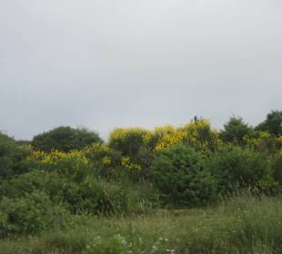 Schöne Natur