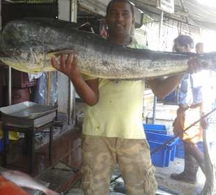 Täglich frischer Fisch