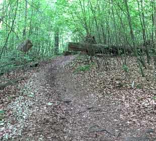 Breitenbachquelle