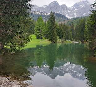 Almsee