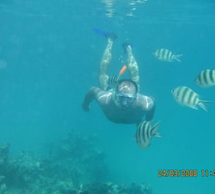 Подводная экскурсия