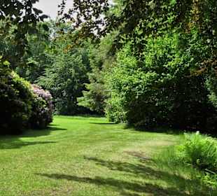 Sommeranfang im Schlossgarten Oldenburg
