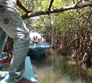 Trafic auf dem Madu Ganga Fluß