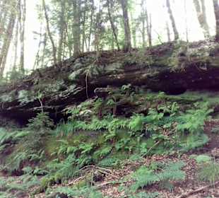 Seibelsbachfelsen in Rodalben