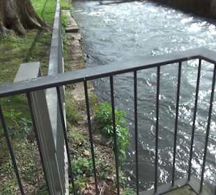 Bürgerpark Offenburg