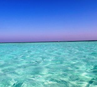 Traumstrand & Korallenriffe/Fische der Superlative