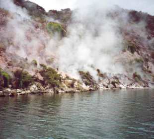 Thermalgebiet  Rotorua
