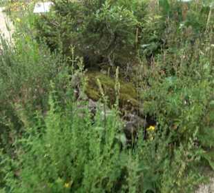 ALB-GOLD Naturgarten