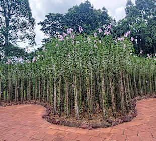 Botanischer Garten