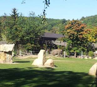 Große Freifläche fü die Elefanten