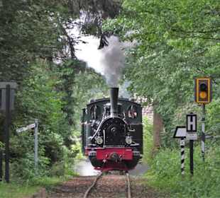 Die Museums-Eisenbahn unter Dampf