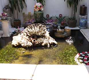 Haus Good Morning Vietnam