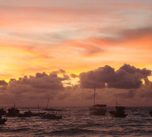 Praia do Forte -BA- Brasilien