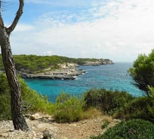 Okolica hotelu Iberostar Club Cala Barca - Parc natural de M