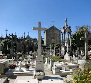Cementerio de Oporto