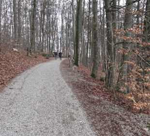 Wildpark Eichert