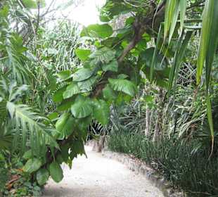 Botanischer Garten
