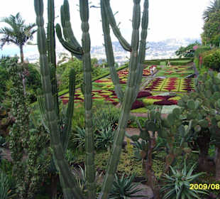 Ogrod botaniczny