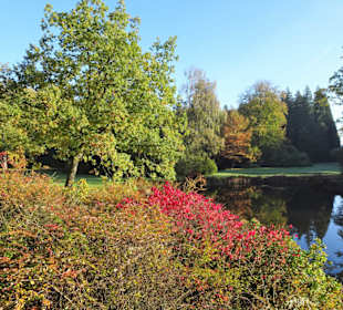 Herbstspaziergang durch den Schlosspark Lütetsburg