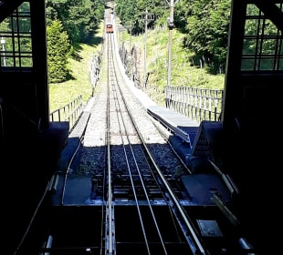 Fahrt mit der Königstuhlbahn