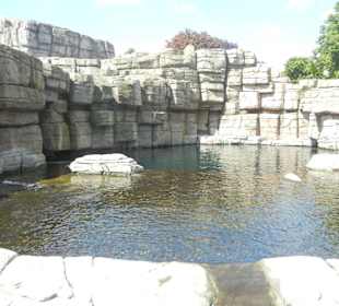 Tierpark Hagenbeck