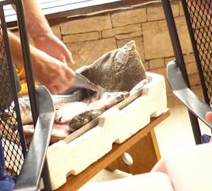 Frischer Fisch zur Auswahl