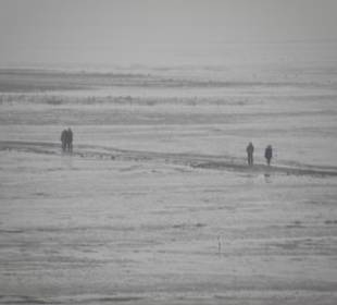 Caminando en el mar