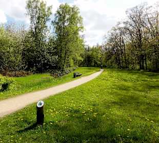 Spaziergang durch den Bremer Stadtwald