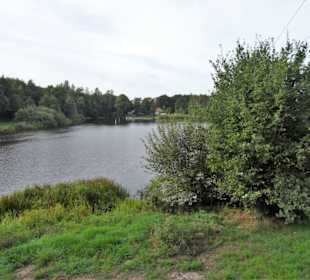 Impressionen vom Rundweg um den Weichelsee