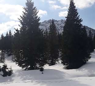 Wandern Hermagor - Pressegger See