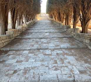 Allee vom Eingang zur Kirche