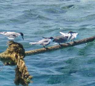 Willkommen an Bord....