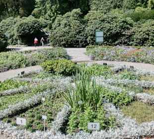 Jahreszeitenrosette