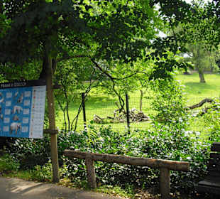 Prager Zoo