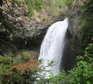 ...da ist er...der moul fall....